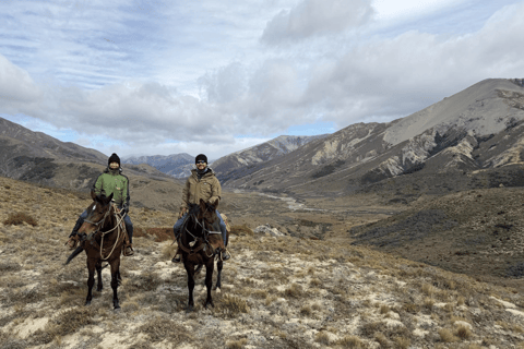 Hanmer Springs: Epic Half-Day Horseback Trekking in St James