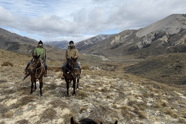 Hanmer Springs: Epic Half-Day Horseback Trekking in St James
