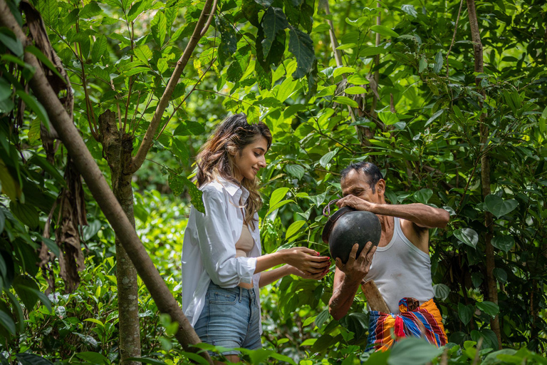 Ella: Traditional Village Life by Jeep with Cooking Class