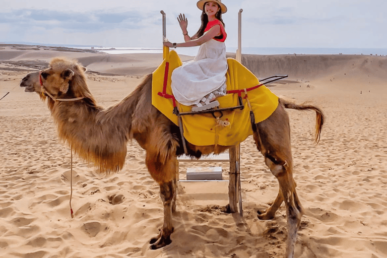 Tottori: Private Tour to Sand Dunes, Museum & Hakuto Coast