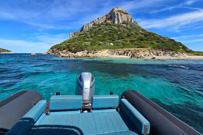 Golfo Aranci: Dolphin-watching tour on a luxury RIB boat with skipper Golfo Aranci: Dolphin-watching tour on a luxury RIB with skipper