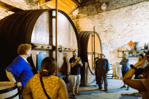 From Porto: Small-Group Douro Valley Wine Tour Lunch & Boat