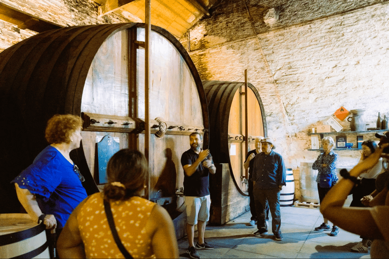 From Porto: Small-Group Douro Valley Wine Tour Lunch & Boat