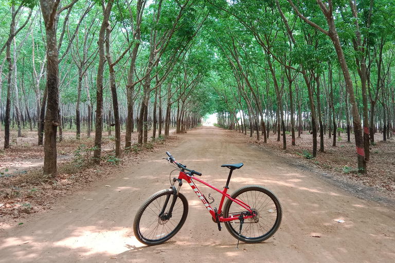 Cambodia: 7-Day Cycling Tour from Phnom Penh to Siem Reap