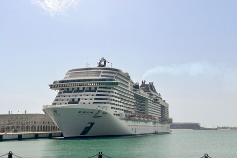 Doha: Wüstensafari + KOSTENLOSER Kamelritt vom CRUISE TERMINAL