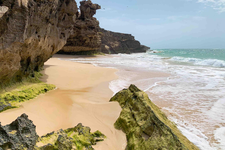 Wyspa Boa Vista: Całodniowe odkrywanie z północy na południeCałodniowa wycieczka po wyspie Boa Vista