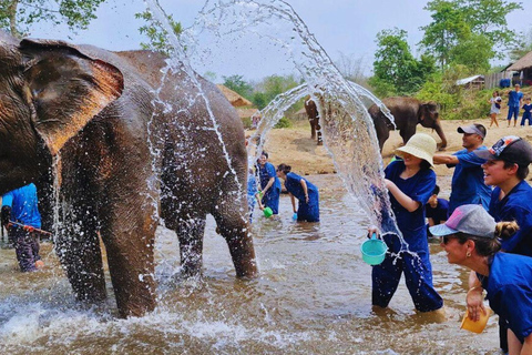 Chiang Mai: Santuario degli elefanti Living Green e rafting con i bambùChiangmai: Santuario degli Elefanti e Bamboo Rafting