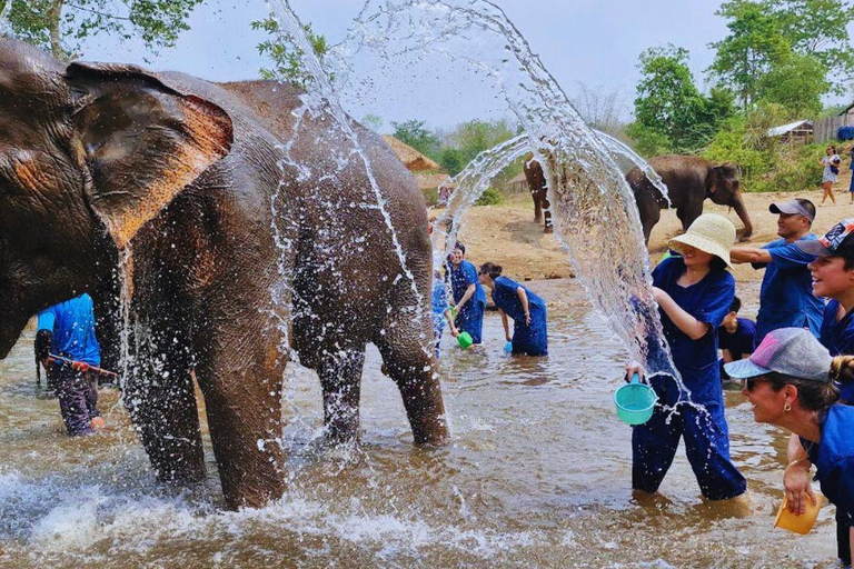 Chiang Mai: Santuario degli elefanti Living Green e rafting con i bambùChiangmai: Santuario degli Elefanti e Bamboo Rafting