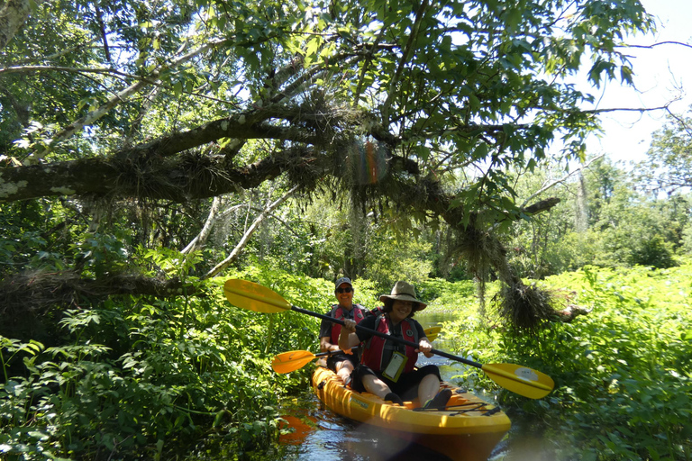 Blackwater Creek: Exclusive Nature Escape Kayak Adventure Blackwater Creek: Exclusive Wilderness Kayak Adventure