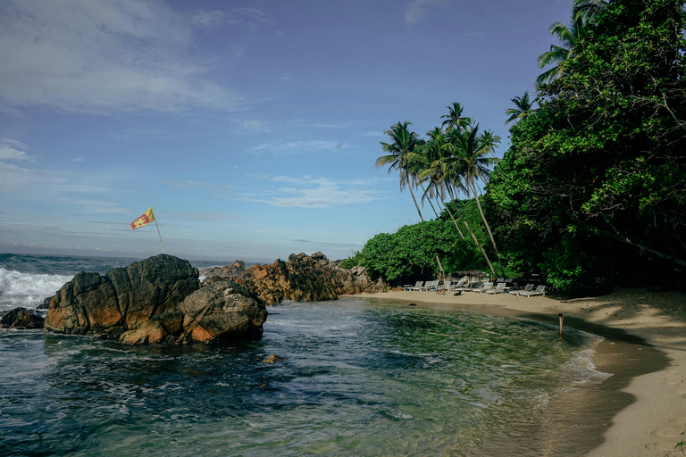 Epic South Coast Highlights From Colombo