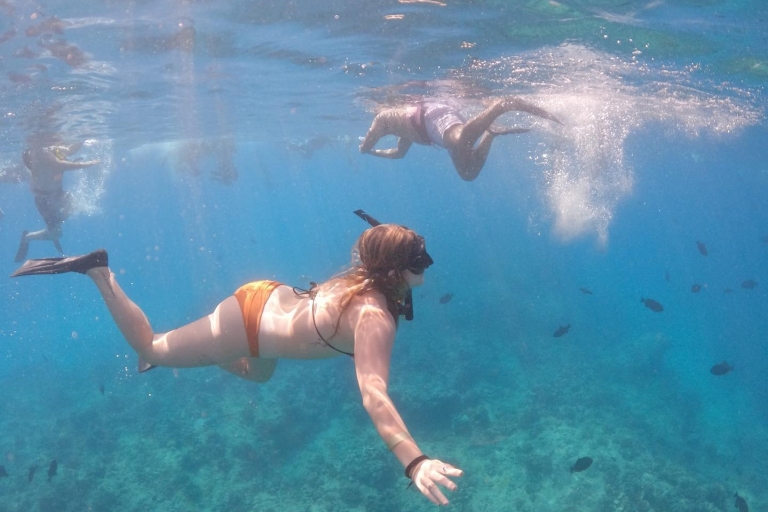 Oahu: przygoda z nurkowaniem z żółwiami Waikiki