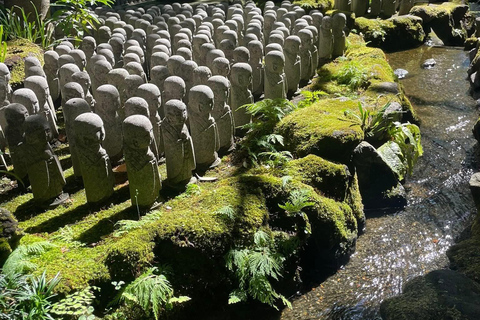 From Tokyo: Nikko Family Adventure with Private Guide