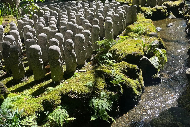 From Tokyo: Nikko Family Adventure with Private Guide