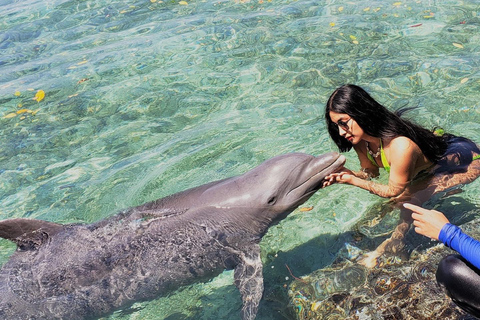 Wizyta w oceanarium: Cartagena de Indias