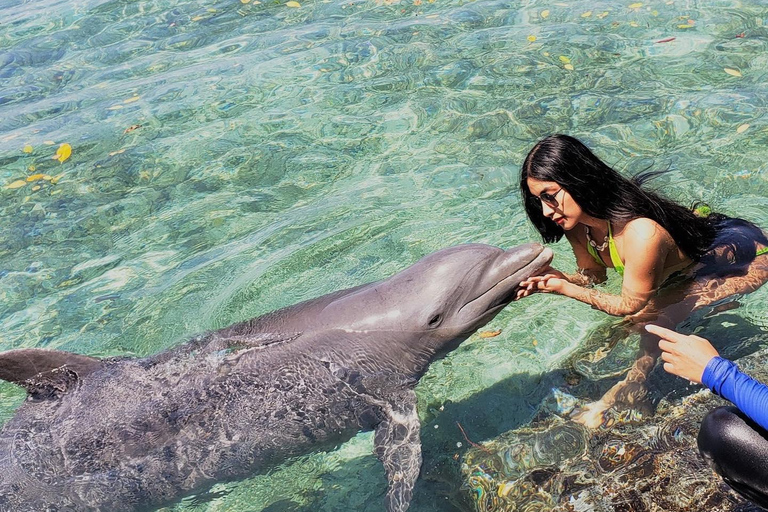 Wizyta w oceanarium: Cartagena de Indias