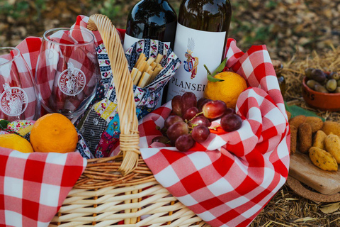 Évora o Montemor: Picnic presso la cantina Plansel