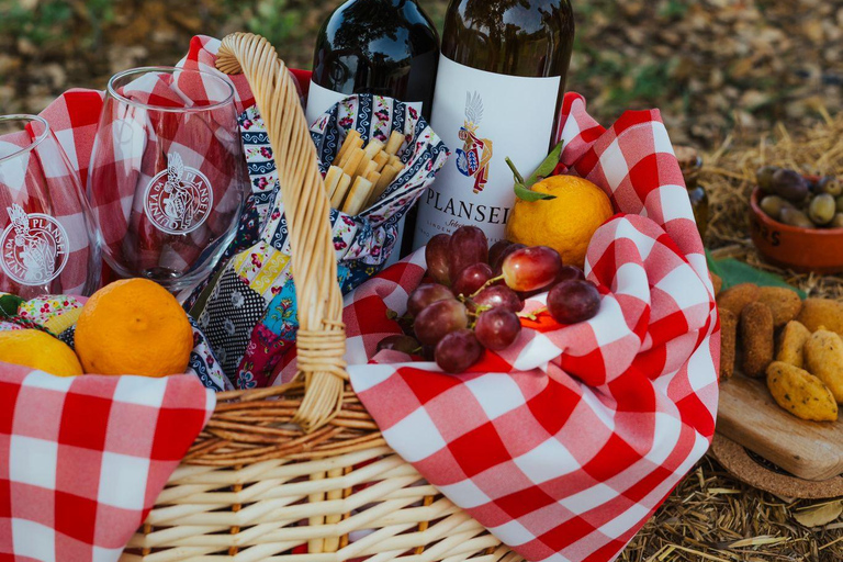 Évora o Montemor: Picnic presso la cantina Plansel