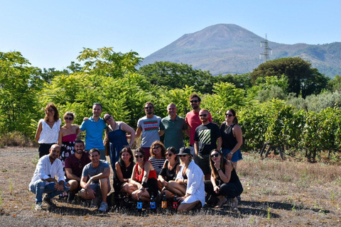 Full-day from Naples: Pompeii & Vesuvius with Italian Lunch