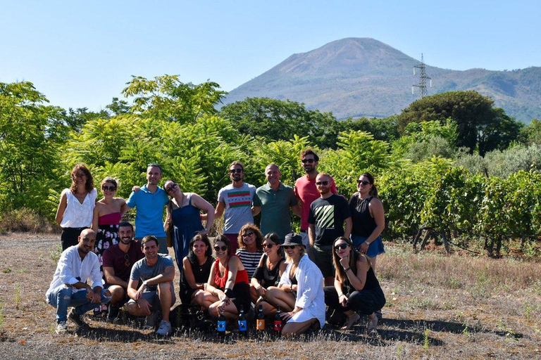 Full-day from Naples: Pompeii & Vesuvius with Italian Lunch