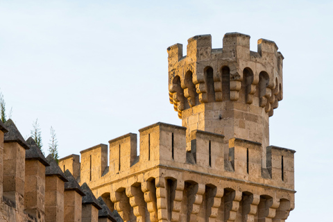 Palma: Old Town Guided Tour with Cathedral Skip-the-Line