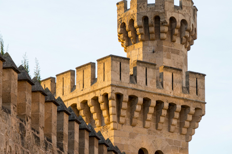 Palma: Old Town Guided Tour with Cathedral Skip-the-Line