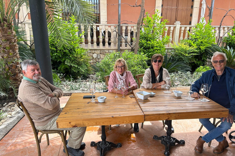 Alicante: Tour de vinhos e almoço com visita a uma adega e Novelda
