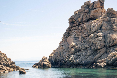 Porto-Vecchio: beginner diving in the Cerbicale Islands in the reserve