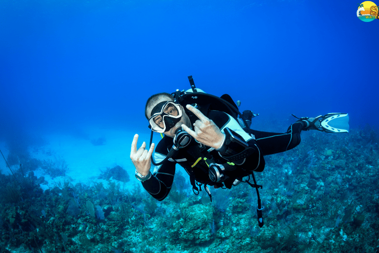 Mergulho e desportos aquáticos em Grande Island, Norte de Goa