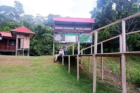 Iquitos: 4-daagse wildlife tour door de Amazone in Pacaya Samiria