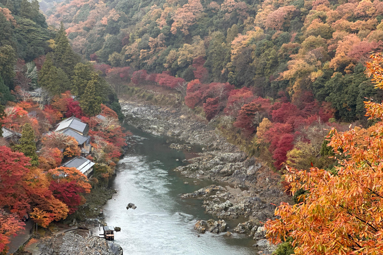 Kyoto Private Customizable Tour With Guide & Luxury vehicle