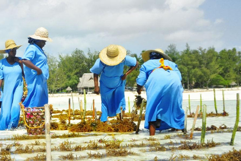 Mwani Zanzibar 独特海藻和护肤之旅桑给巴尔岛独特海藻和护肤之旅