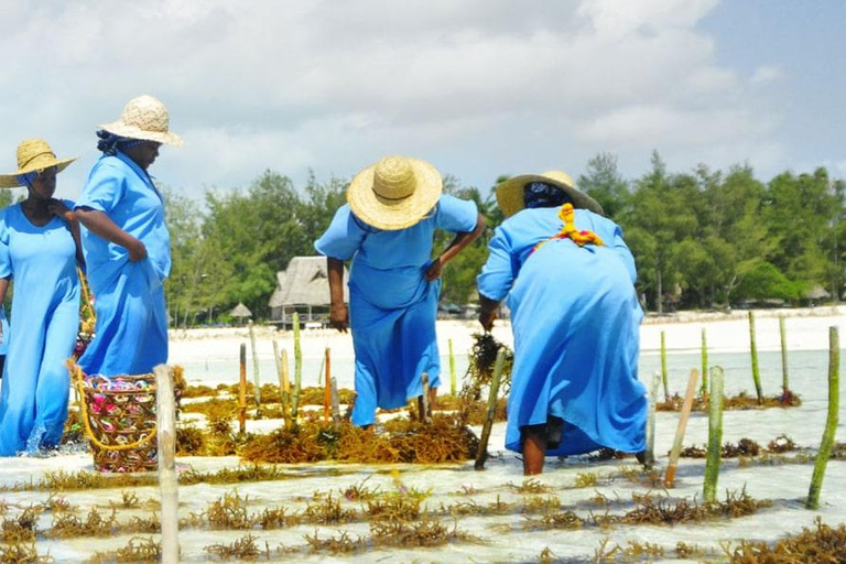 Mwani Zanzibar 独特海藻和护肤之旅桑给巴尔岛独特海藻和护肤之旅