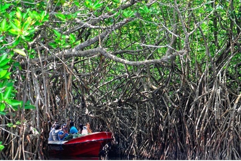 Vanuit Negombo: bezoek aan Madu River Safari en schildpaddenkwekerij