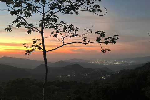 Minca: Fairtrade, coffee & cocoa, organic farm - ES/EN/DE Sunset tour