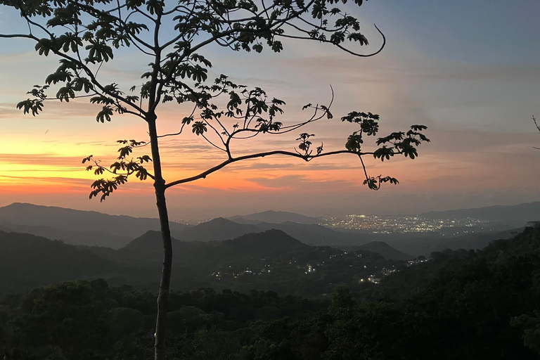 Minca: Fairtrade, coffee & cocoa, organic farm - ES/EN/DE Sunset tour
