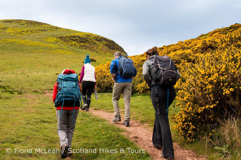 Hills, heather & Highland cows: Hiking in the Pentlands Hills, heather & Highland cows - Hiking in the Pentlands