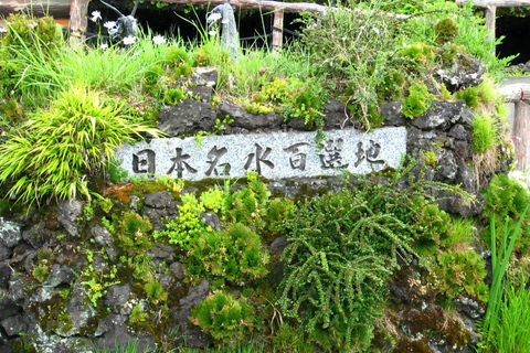 Tokyo: Mount Fuji Day Tour, Oshino Hakkai, Lake Kawaguchi Lunch Excluded | 8:30 AM from Shinjuku Station