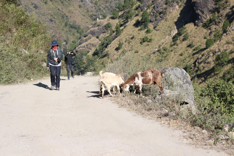 Aventura de 6 días en Langtang : Salida en Grupo Fijo Senderismo Económico