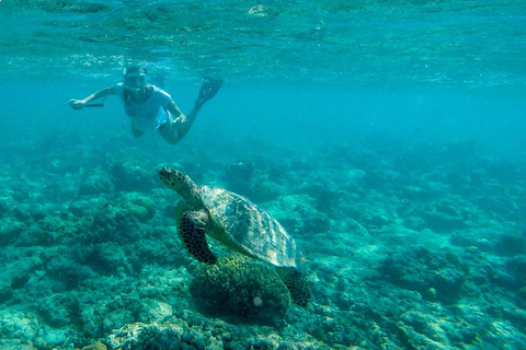 Gili Air: Snorkel Privado en 4 Puntos con Cámara GoPro