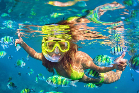 Pedal boat rental with snorkeling in Alicante or Playa de San Juan Pedal boat rental with snorkel in Alicante