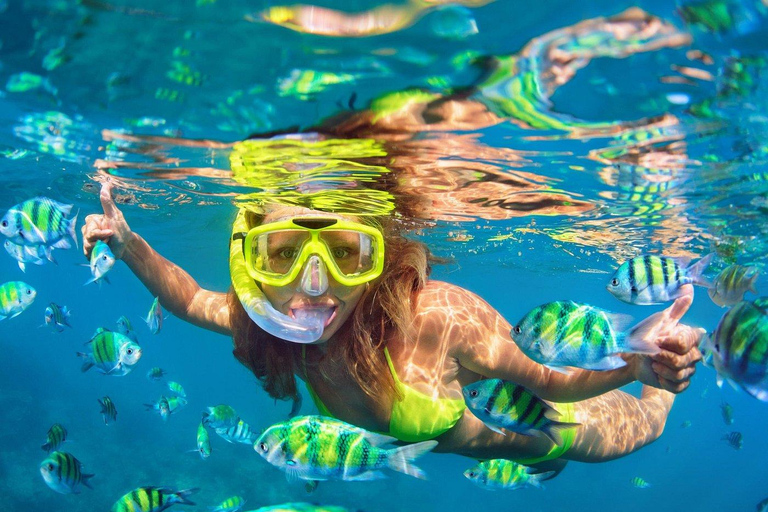 Pedal boat rental with snorkeling in Alicante or Playa de San Juan Pedal boat rental with snorkel in Alicante