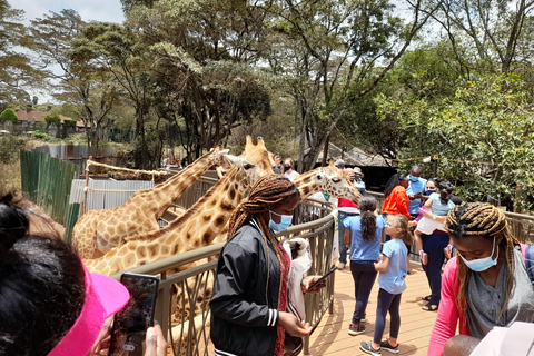 Nairobi: Giraffe Center, Kazuri Beads Factory, and Bomas …