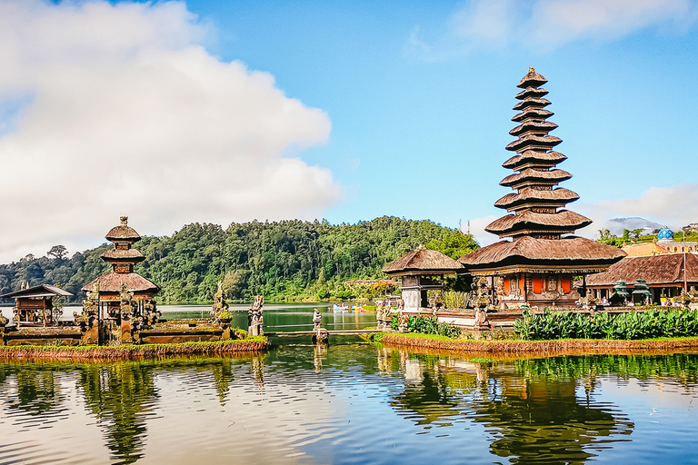 Nord de Bali : dauphins, cascades et temples à l’aubeExcursion privée premium