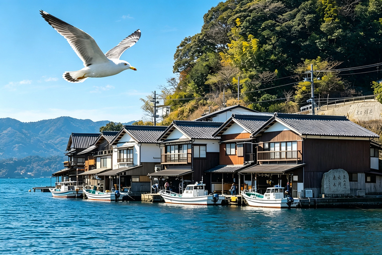 Osaka: Amanohashidate, Ine Cruise & Miyama Village From Osaka (Basic Package)