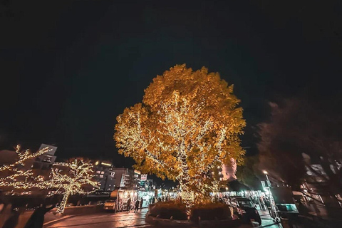 Fukuoka: Nakasu &amp; Hakata River Boat Cruise Guided TourNakasu &amp; Hakata River Boat Cruise Guided Tour