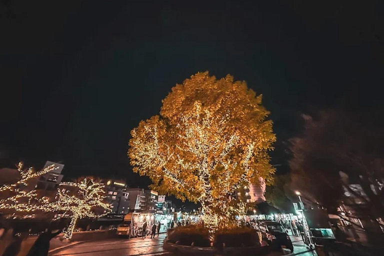 Fukuoka: Nakasu &amp; Hakata River Boat Cruise Guided TourNakasu &amp; Hakata River Boat Cruise Guided Tour