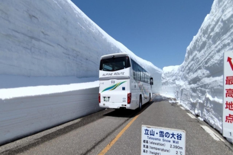 Osaka: 2-dagars tur till Hida Takayama, Shirakawa-go och Tateyama2-3 personer per rum