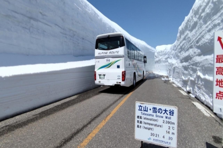 Osaka: 2-dagars tur till Hida Takayama, Shirakawa-go och Tateyama2-3 personer per rum