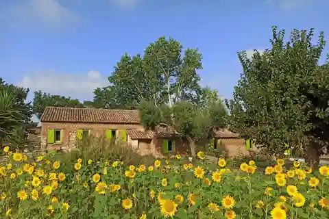 Roots and flavors: Cooking school between tradition and sustainability