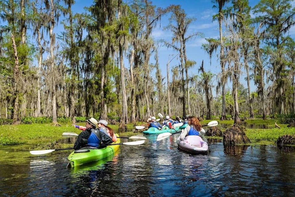 manchac magic kayak swamp tour